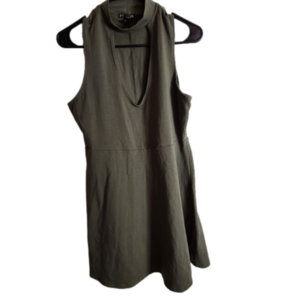 Express Army Green Skater Dress sz L NWOT